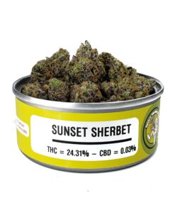 Buy sunset sherbet strain Online