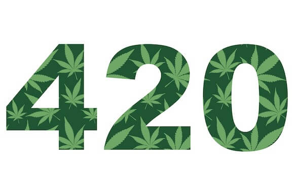 420 Weeds Net